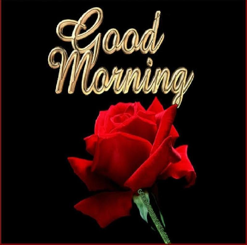 शुभ प्रभात : आज का सुविचार 16/04/2026