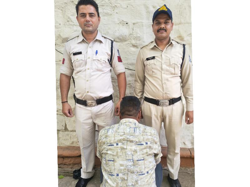 शहर:
