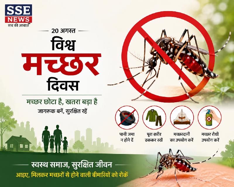 शहर: